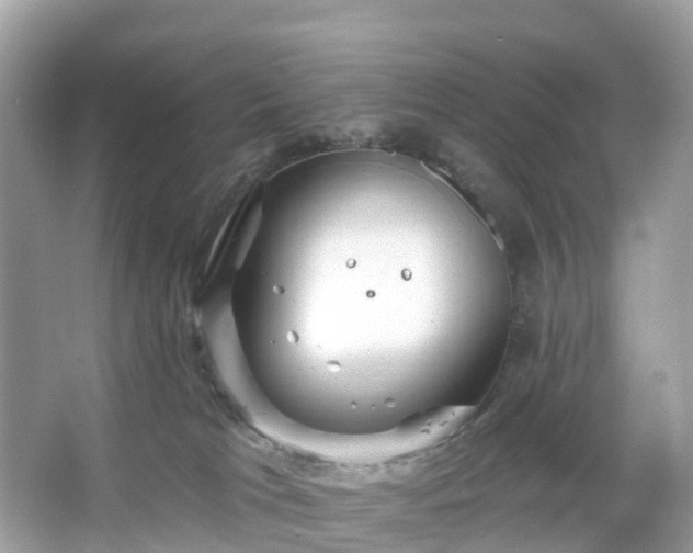 X0000066120037200603131339