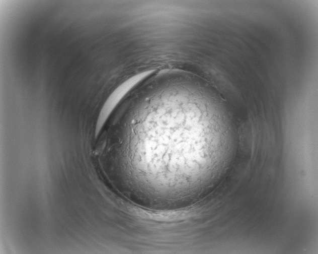 X0000066120038200603131339