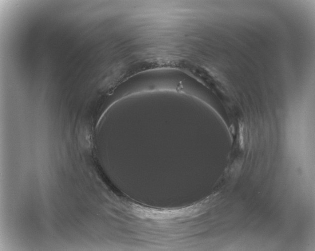 X0000066120039200603131339