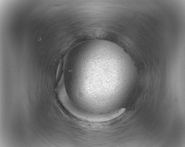 X0000066120040200603131339