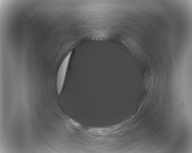 X0000066120041200603131339