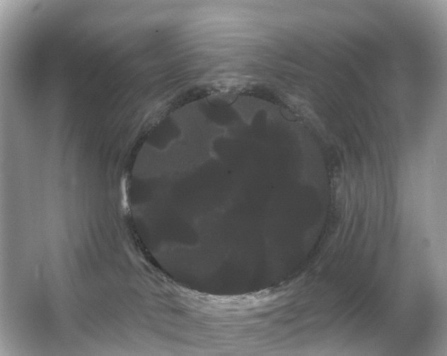 X0000066120042200603131339