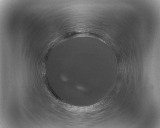 X0000066120043200603131339