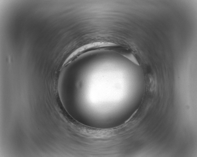 X0000066120044200603131339