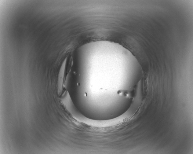 X0000066120045200603131339