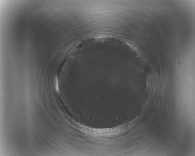 X0000066120046200603131339