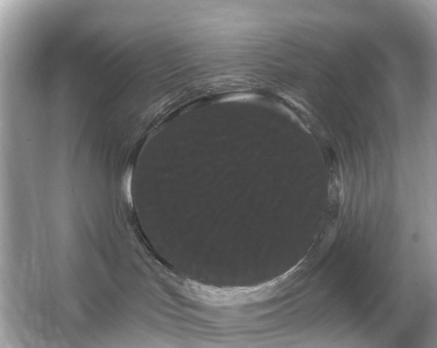 X0000066120047200603131339