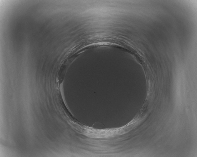 X0000066120048200603131339