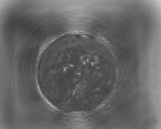 X0000066120049200603131338