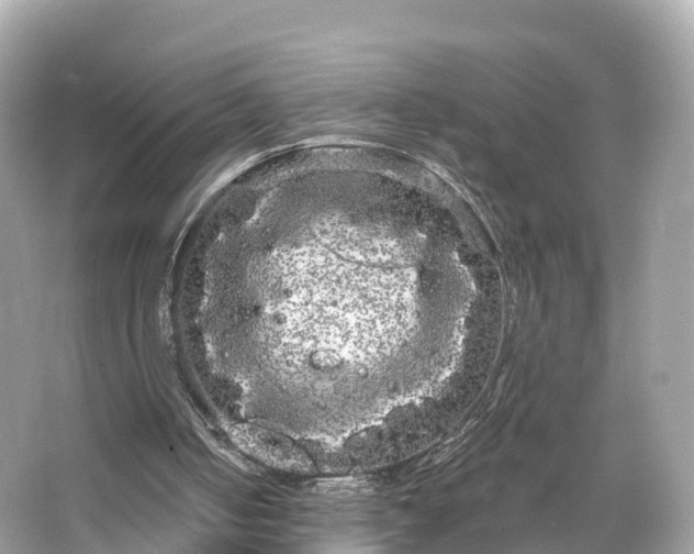 X0000066120050200603131338