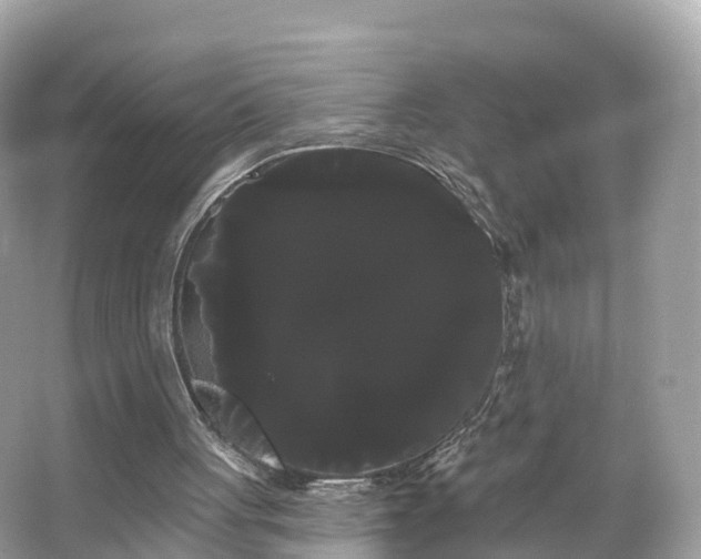 X0000066120051200603131339