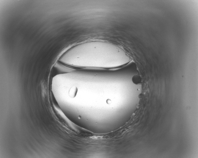 X0000066120052200603131339