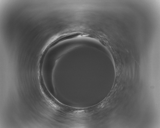 X0000066120054200603131339