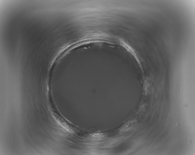 X0000066120059200603131339