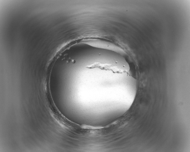 X0000066120060200603131339