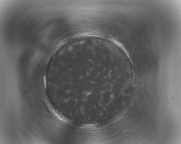 X0000066120061200603131339