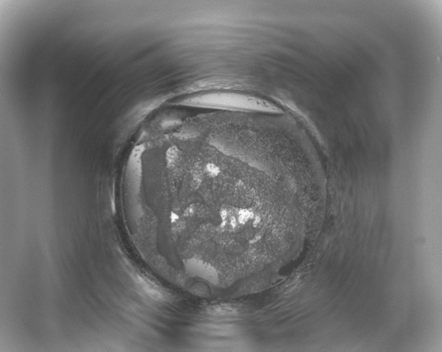 X0000066120062200603131339