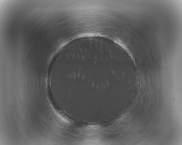 X0000066120063200603131339