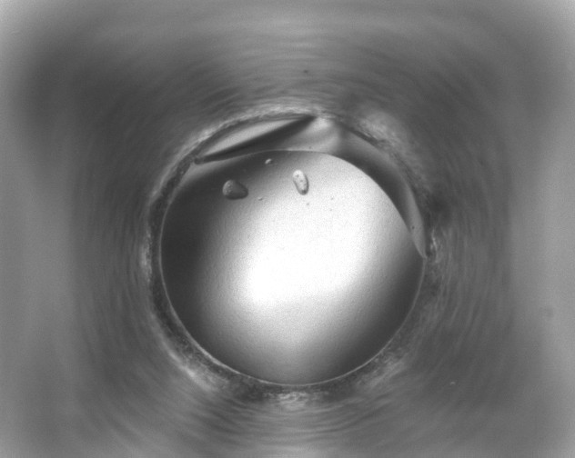 X0000066120064200603131339