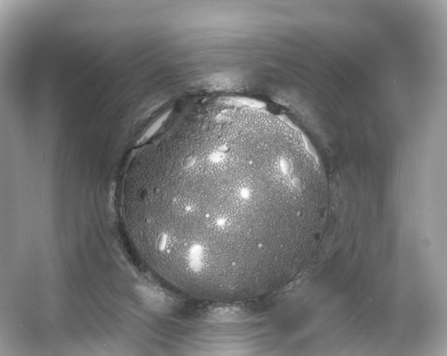 X0000066120066200603131339