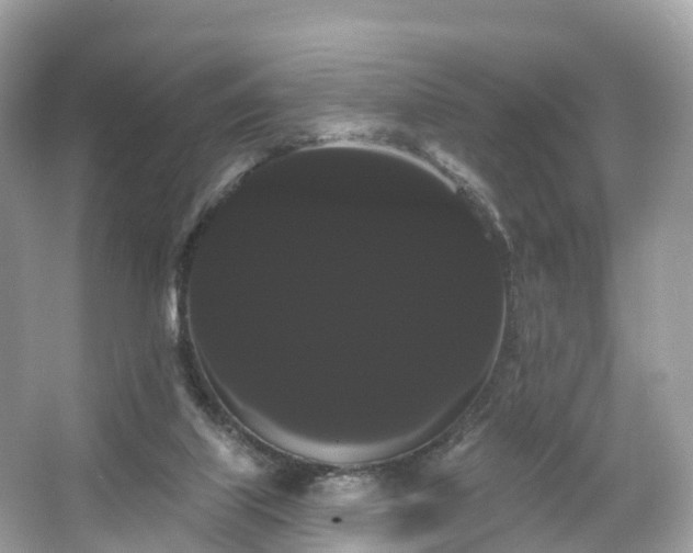 X0000066120067200603131339