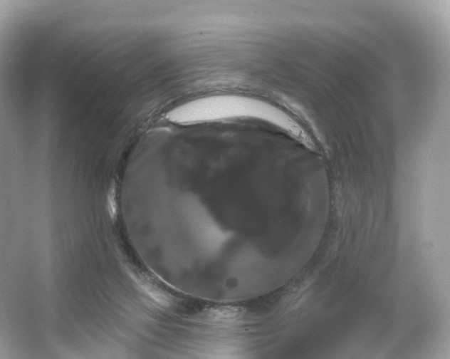 X0000066120069200603131339