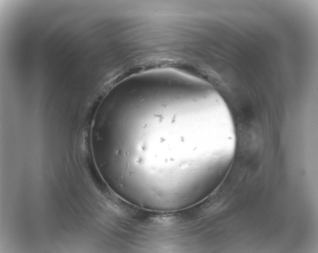 X0000066120071200603131339