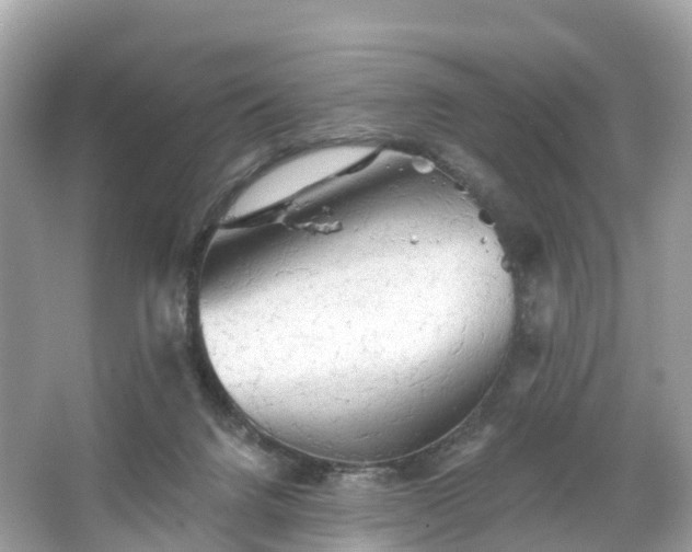 X0000066120072200603131339