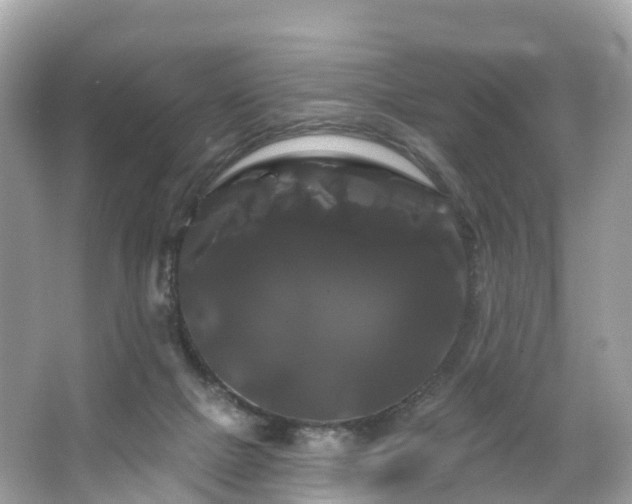 X0000066120073200603131339