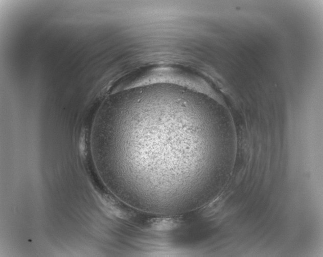 X0000066120074200603131339