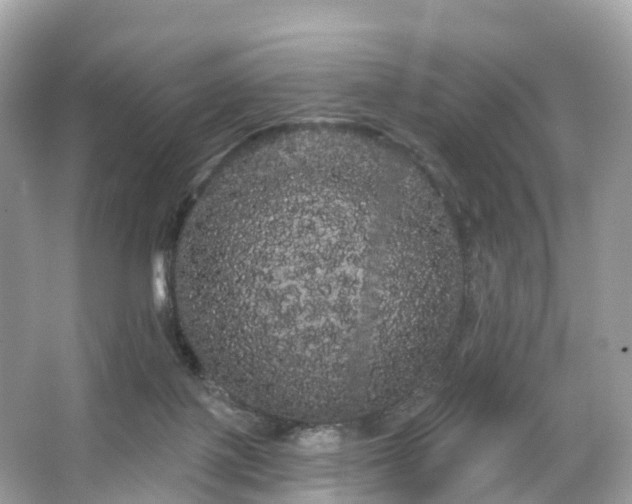 X0000066120075200603131339