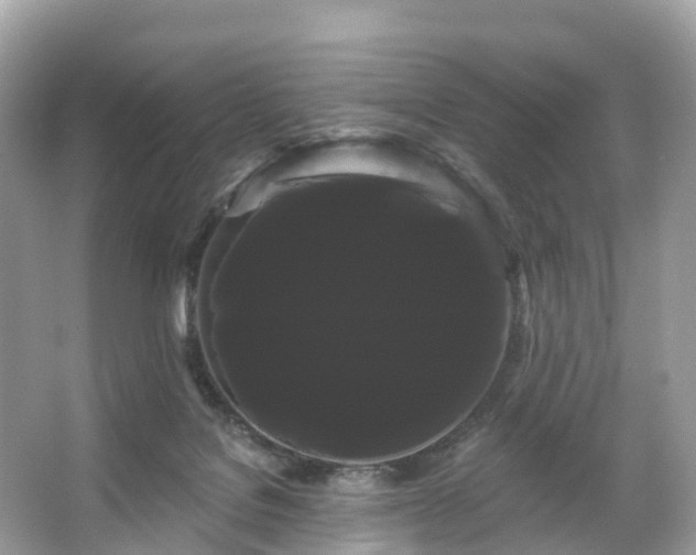 X0000066120076200603131339