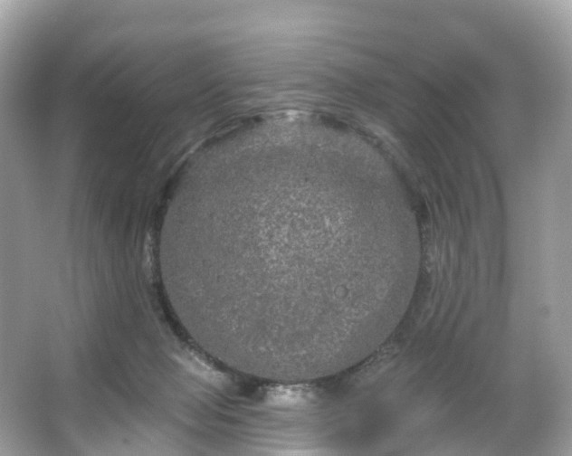 X0000066120077200603131339