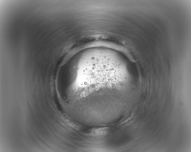 X0000066120078200603131339