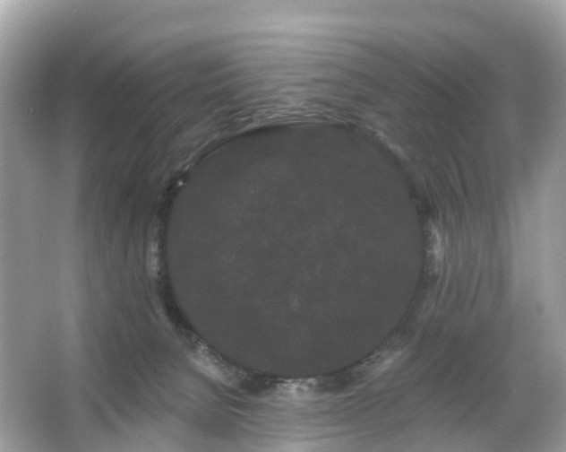 X0000066120080200603131339