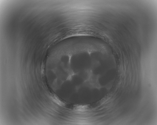 X0000066120081200603131339