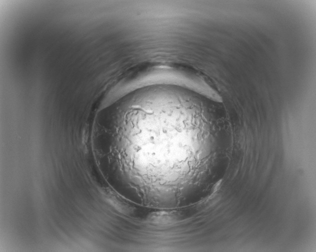 X0000066120082200603131339