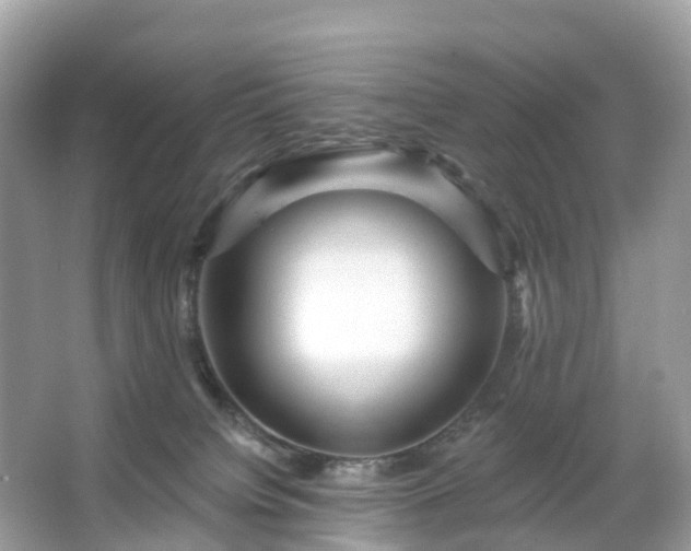 X0000066120084200603131339