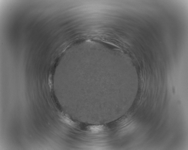 X0000066120085200603131339