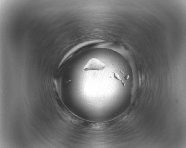 X0000066120088200603131339