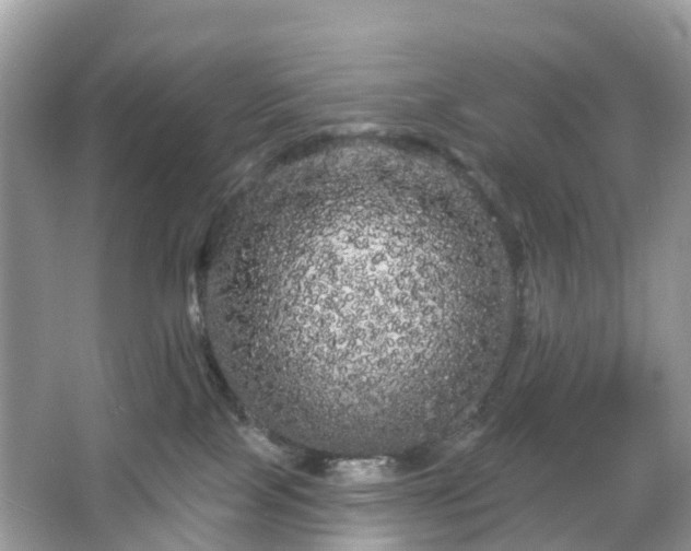 X0000066120089200603131339