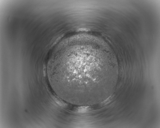 X0000066120090200603131339