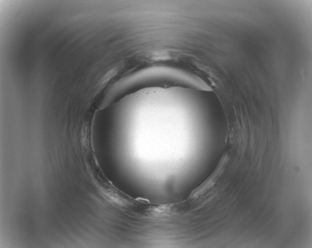 X0000066120092200603131339