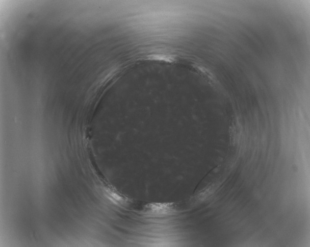 X0000066120093200603131339