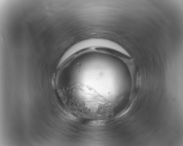 X0000066120094200603131339