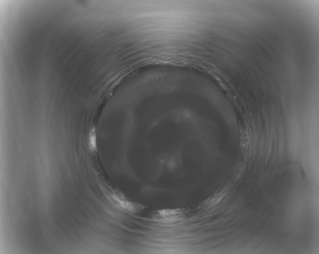 X0000066120095200603131339