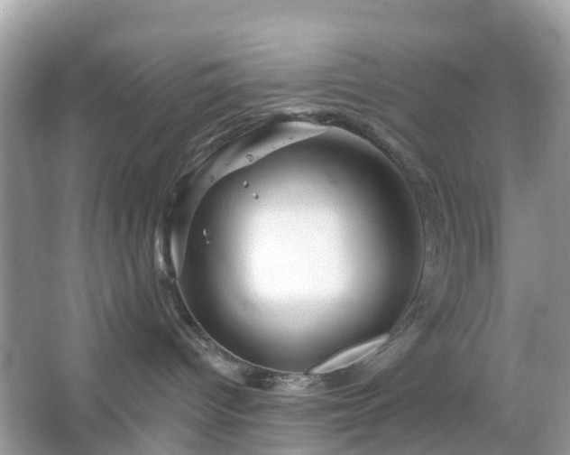 X0000066120096200603131339