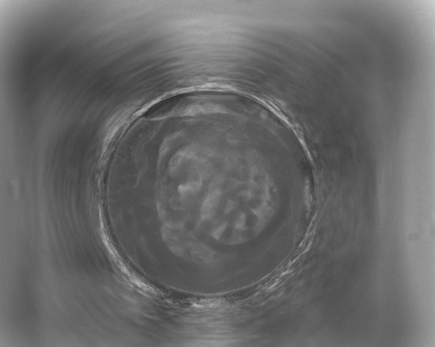 X0000066120097200603131338