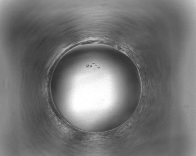 X0000066120098200603131338