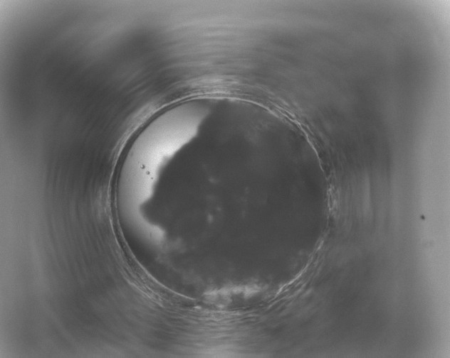 X0000066120099200603131338